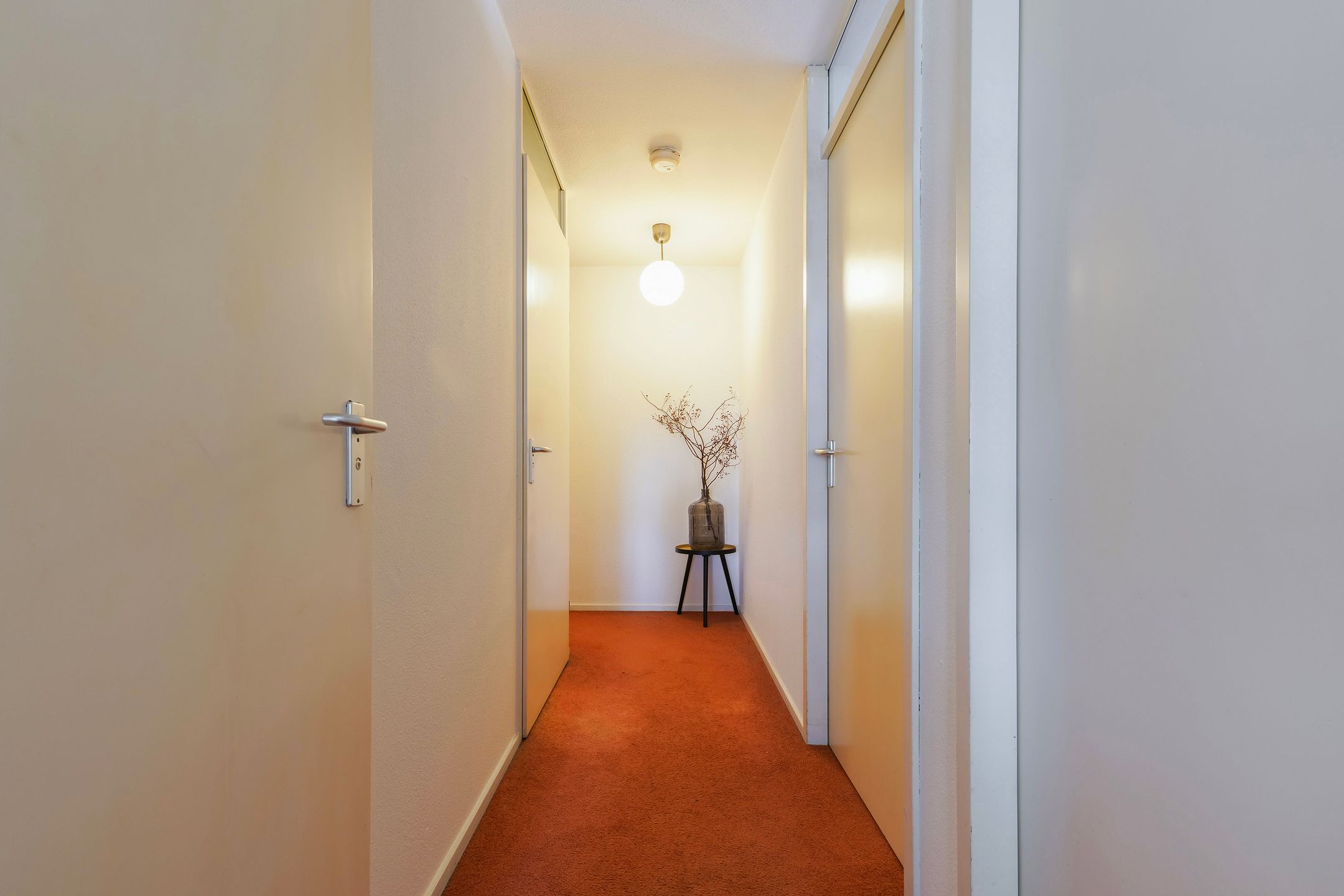 Foto 39 van Schipluidenlaan 215