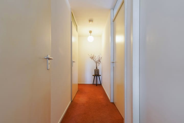 Photo 39 of Schipluidenlaan 215