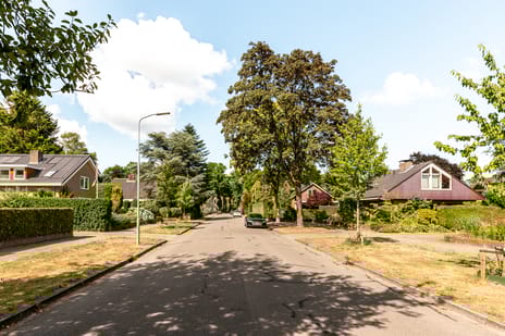 Rooseveltlaan 3 secondary image