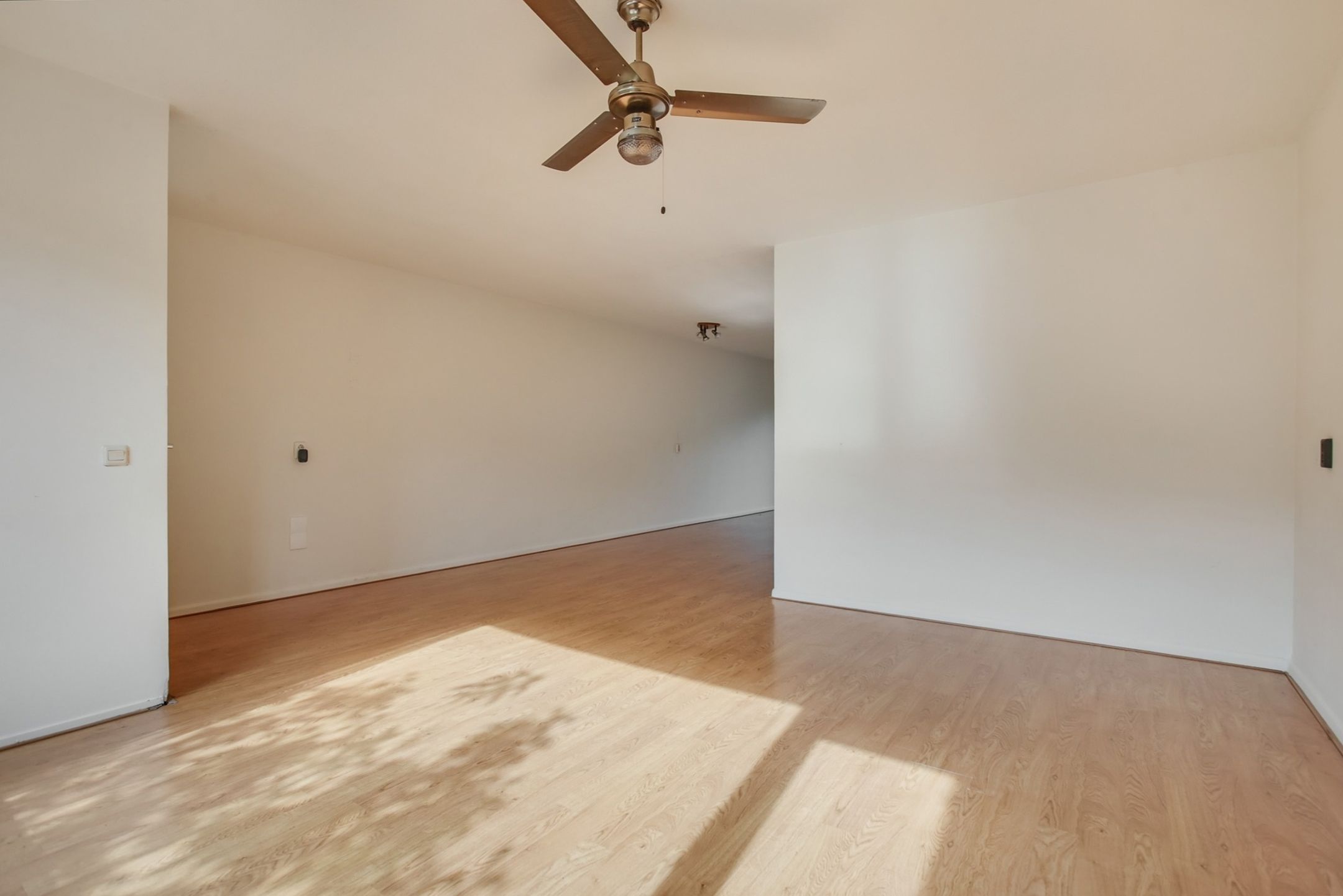 Foto 12 van Tartinistraat 5