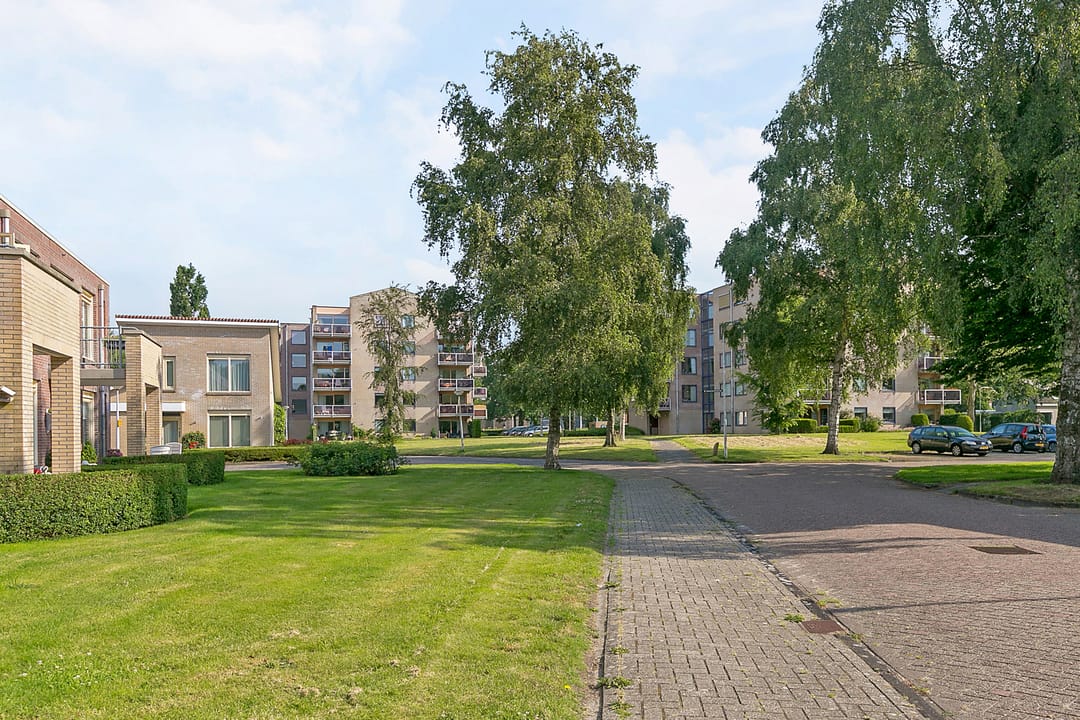 Photo 8 of Ds. Talmasingel 55