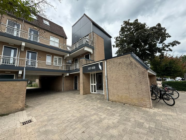 Photo 23 of Reigerskamp 571