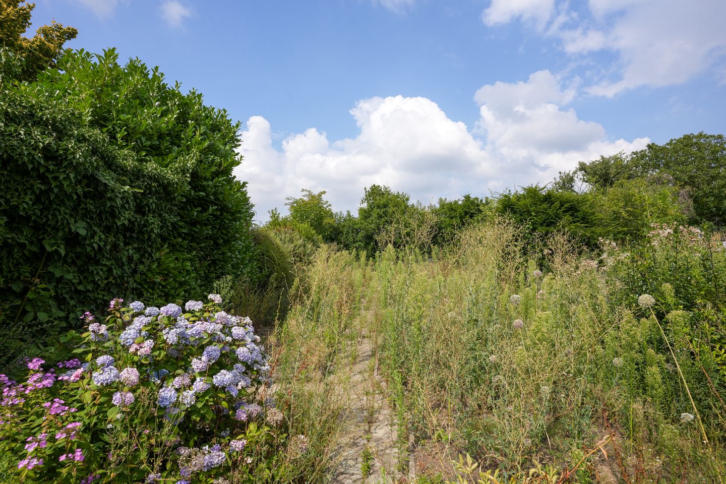 Foto 25 van Paumstraat 44