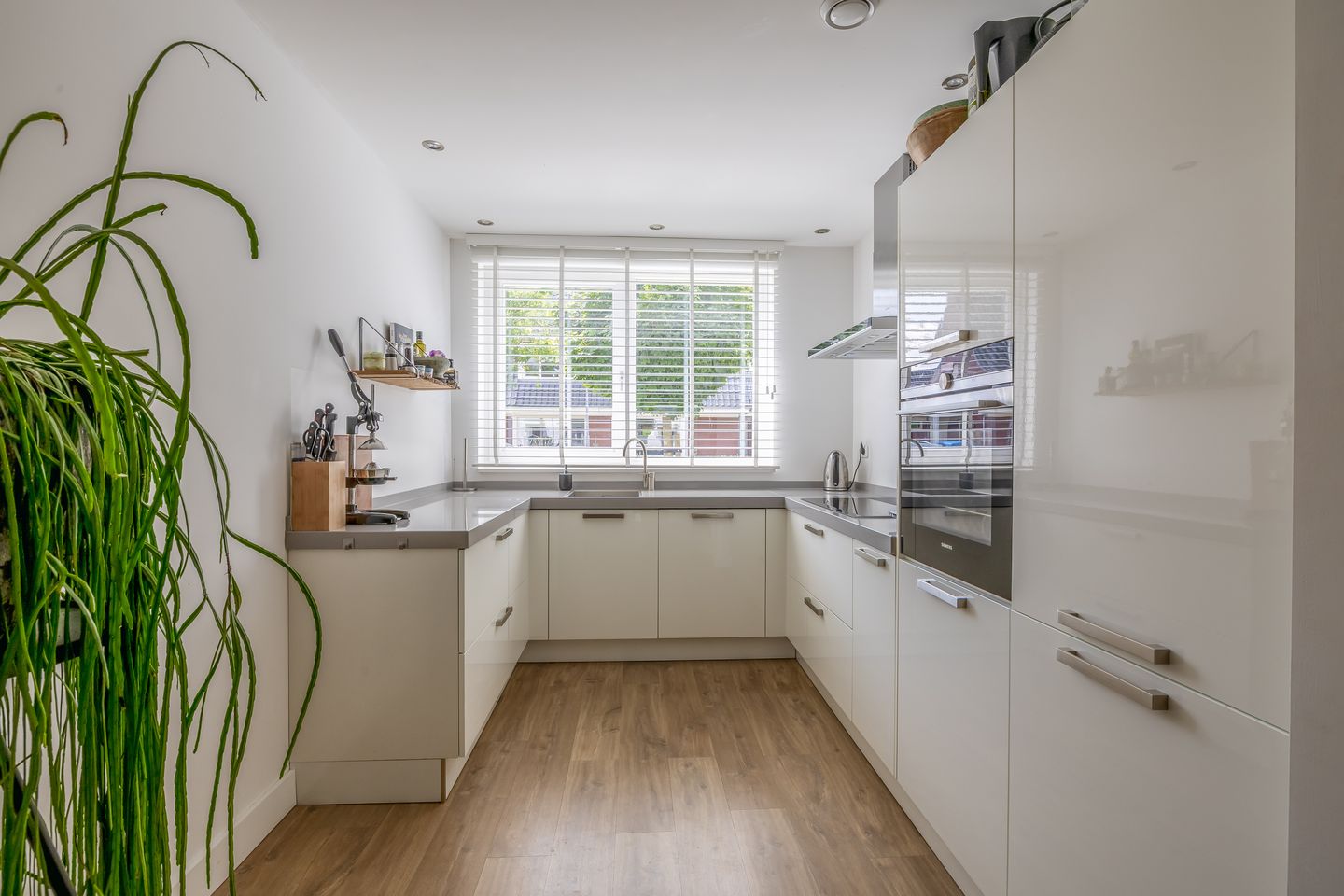 Photo 20 of Aquamarijn 55