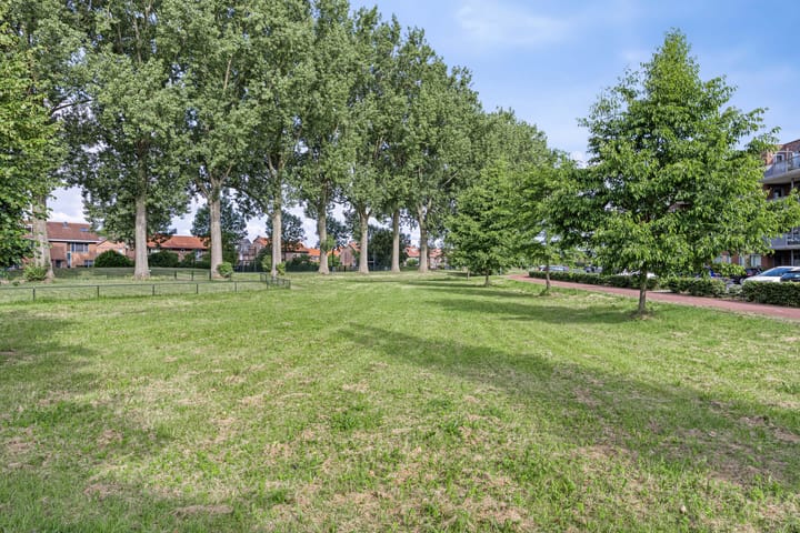 Foto 20 van Havenspoor 117