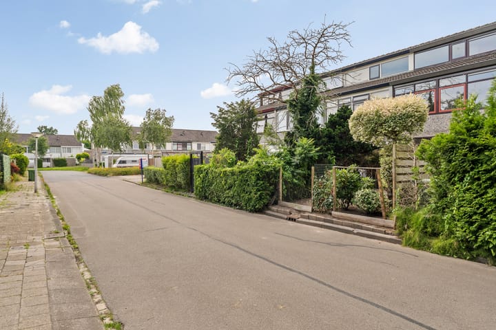 Foto 2 van Kamgras 117