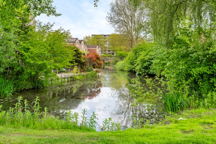 Foto 36 van Kamgras 117