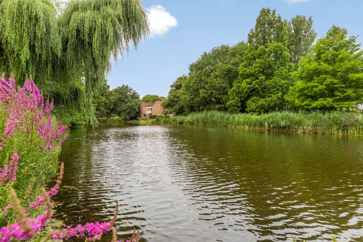 Foto 29 van Wagnerplein 46