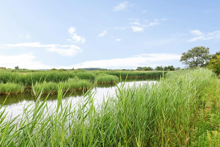 Photo 4 of De Rug 3-81