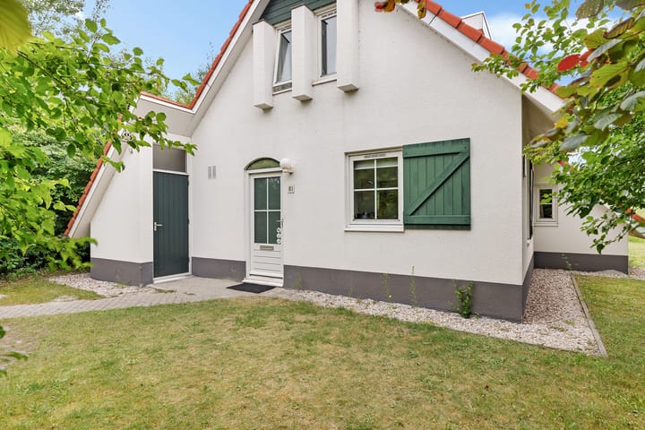 Photo 6 of De Rug 3-81