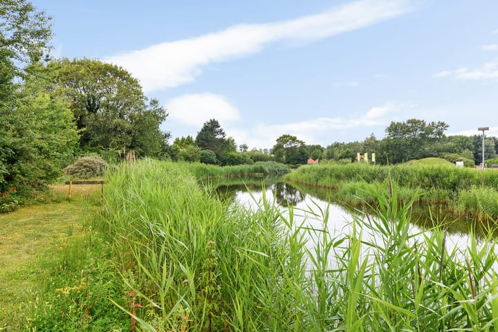 Photo 20 of De Rug 3-81