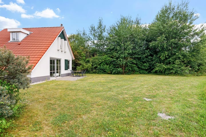 Photo 21 of De Rug 3-81