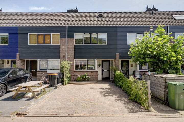 undefined main image