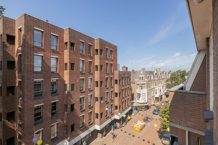 Foto 29 van Laan van Meerdervoort 205-P