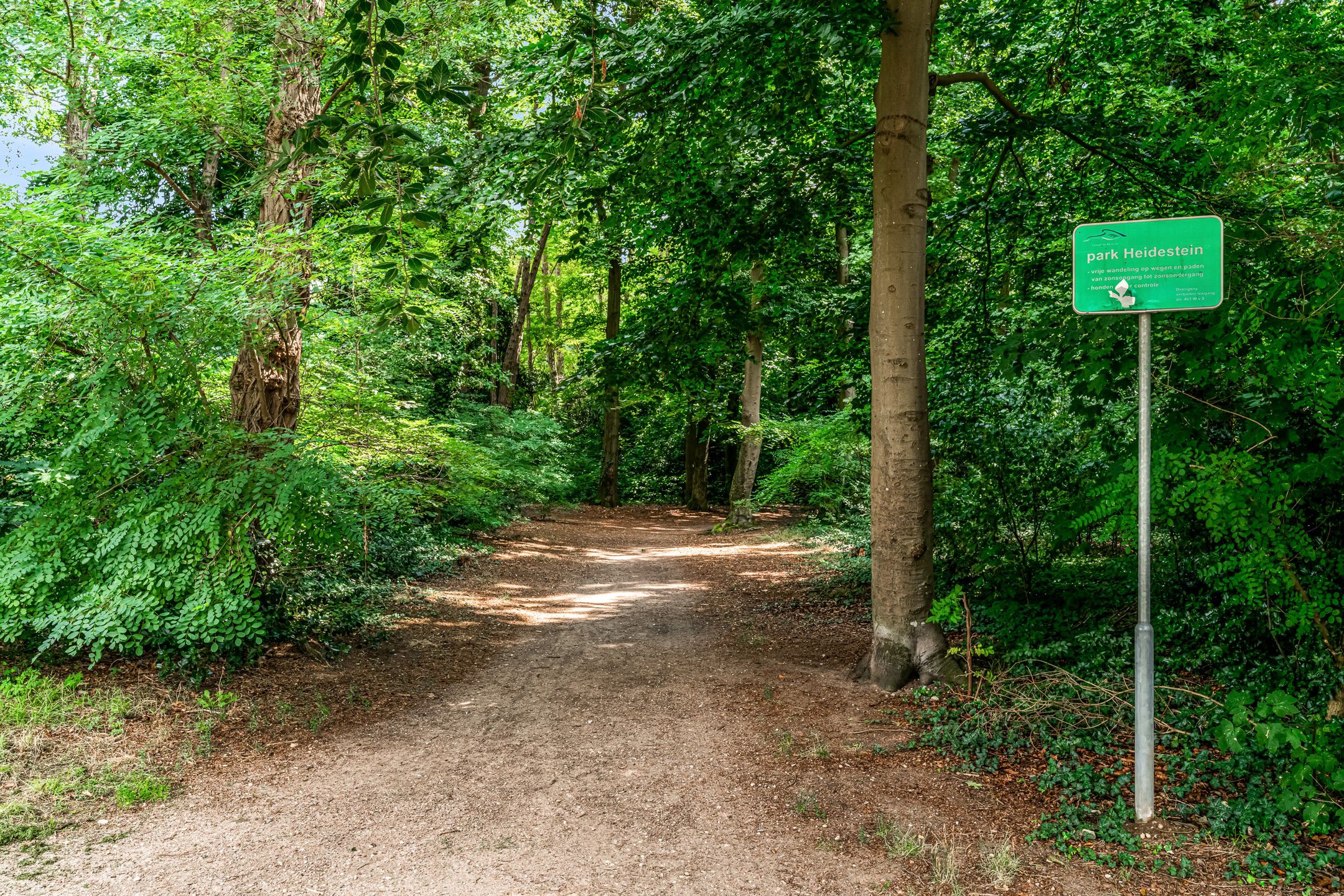 Foto 27 van Bernardus Arpsstraat 3