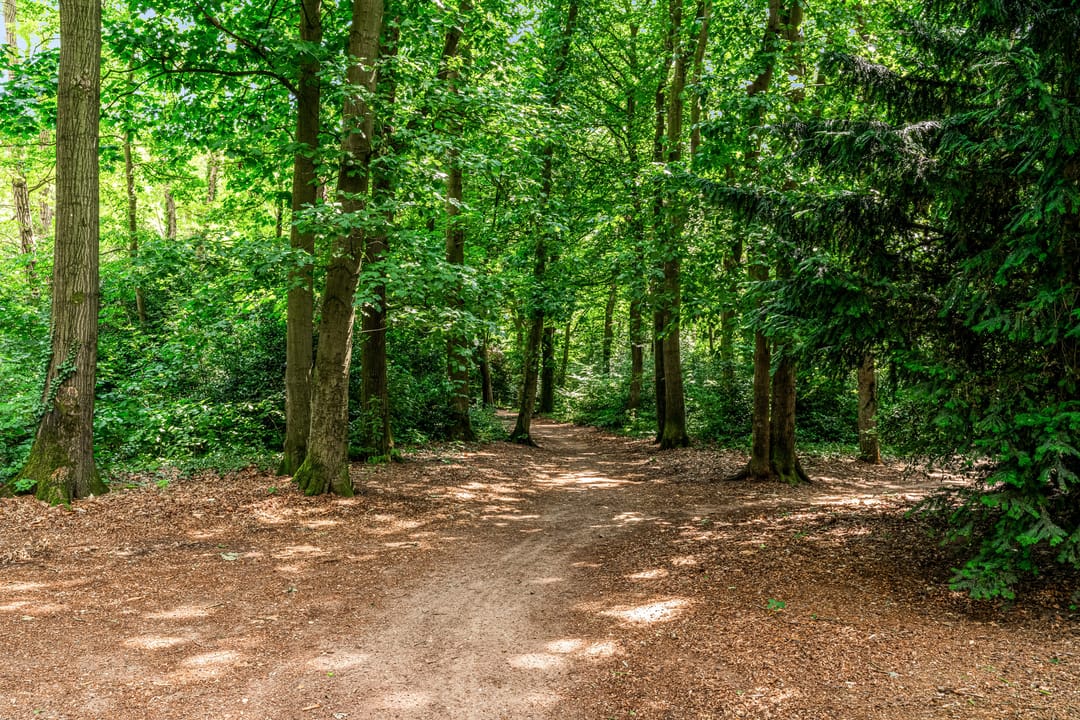 Foto 28 van Bernardus Arpsstraat 3