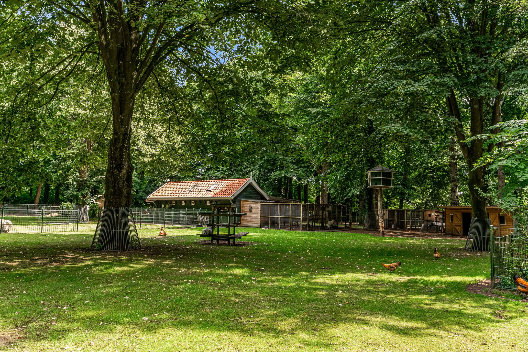 Foto 30 van Bernardus Arpsstraat 3