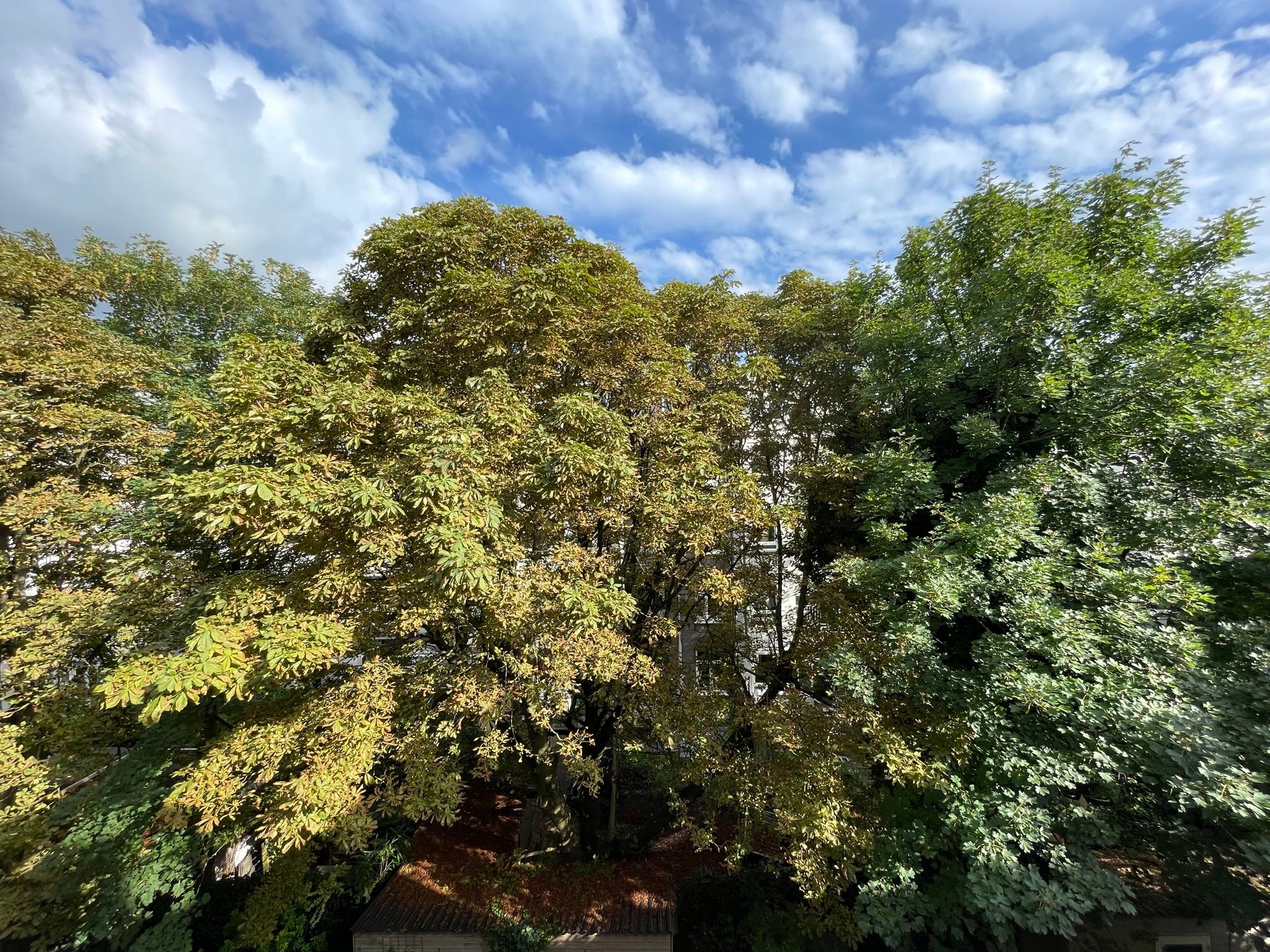 Foto 12 van Jacob van Lennepstraat 302-C