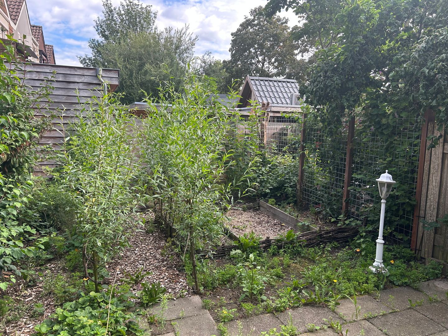 Photo 14 of Braamsluiper 86