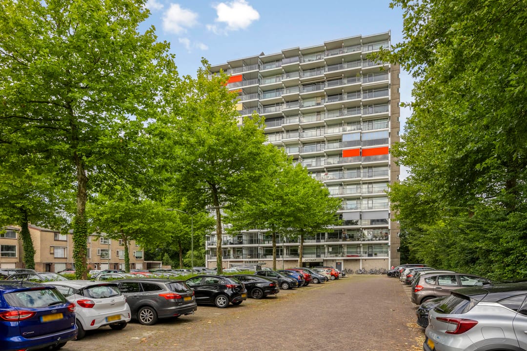 Foto 1 van Octant 176