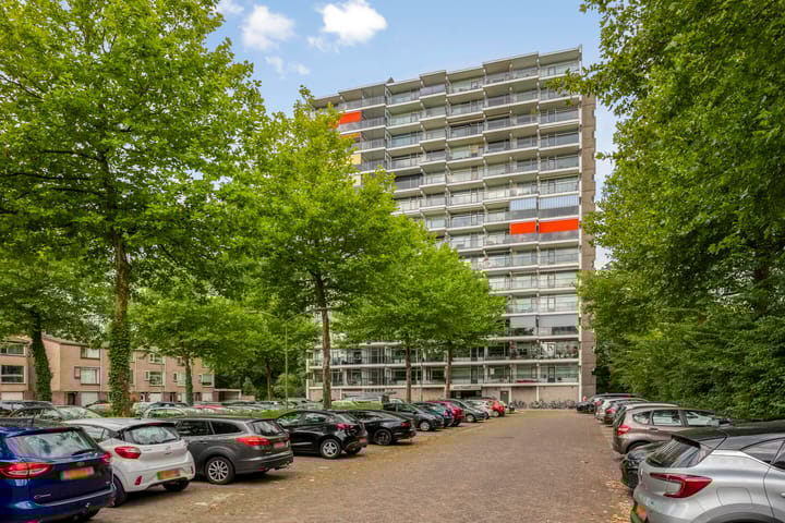 Foto 1 van Octant 176