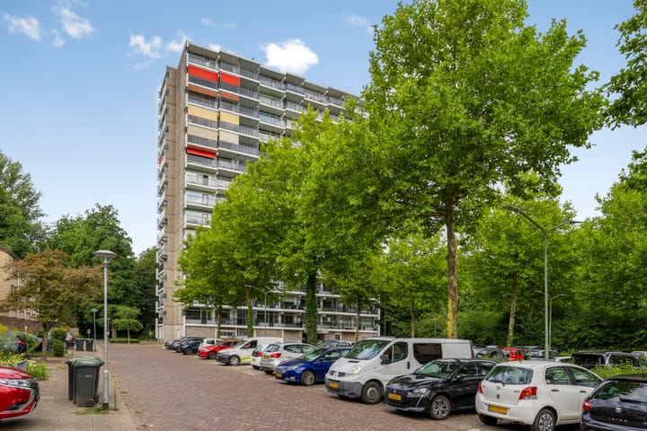 Foto 3 van Octant 176