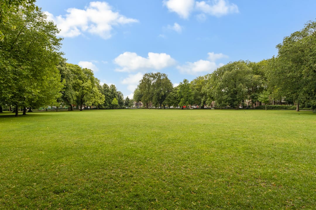 Foto 46 van Adriaen van Ostadelaan 18-C