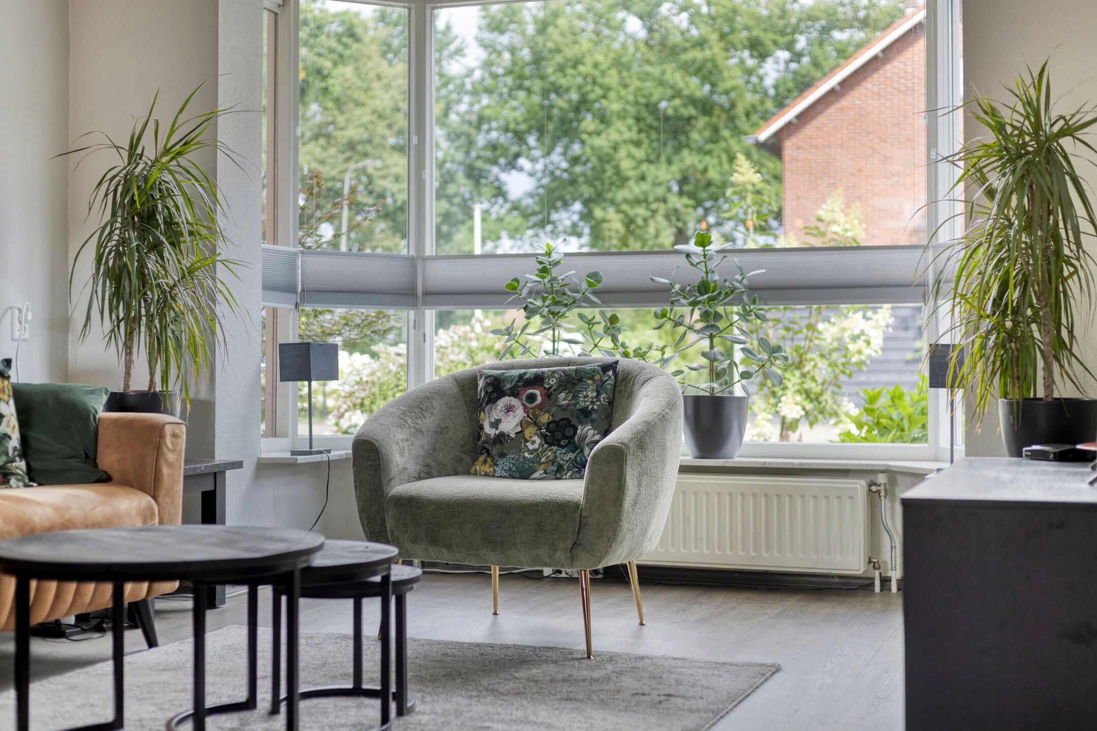 Foto 3 van Dr. Kuijperstraat 47