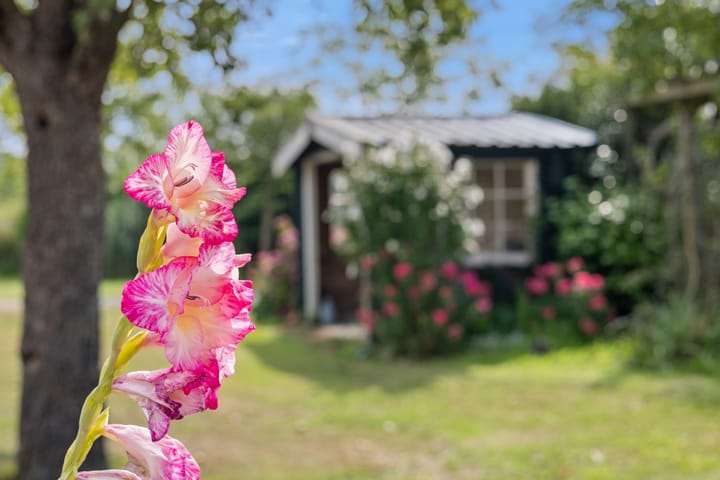 Foto 51 van Poeldonk 2