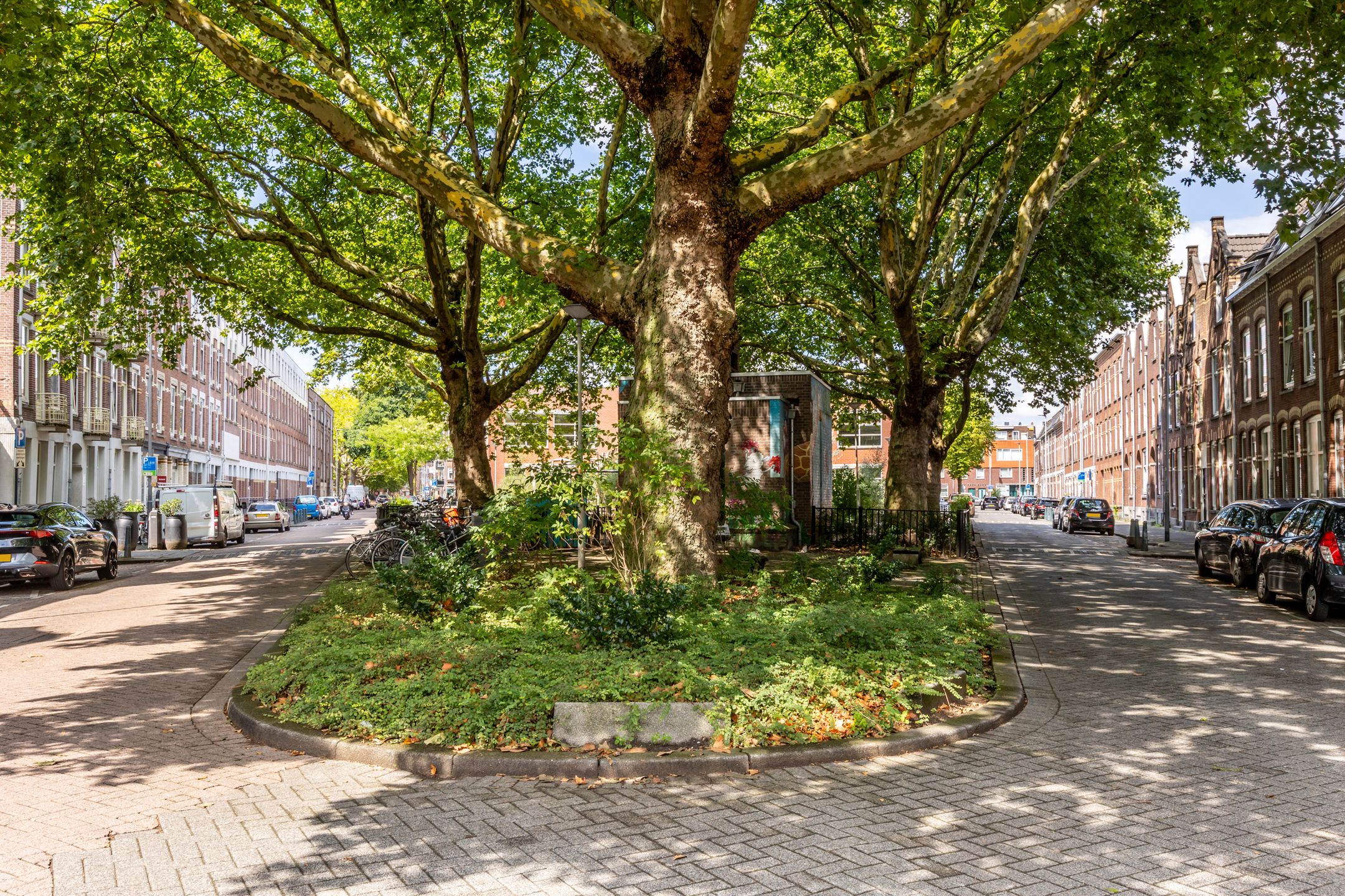 Foto 30 van Albregt-Engelmanstraat 53-B