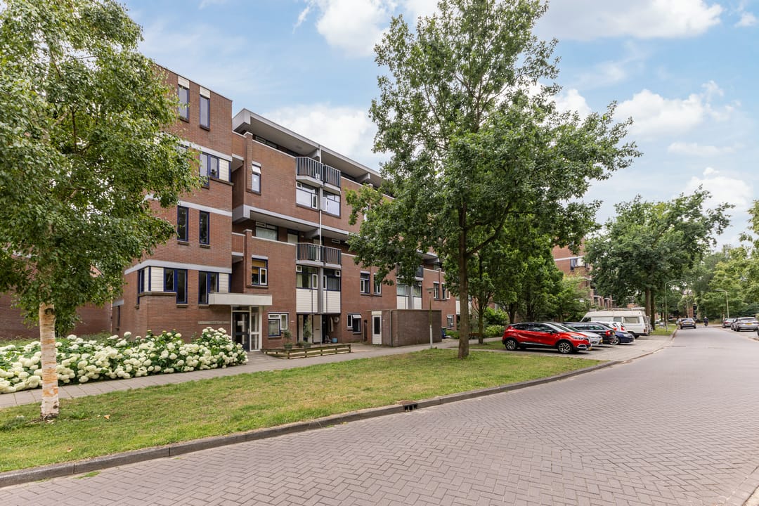 Foto 1 van Hollandsch Diep 217