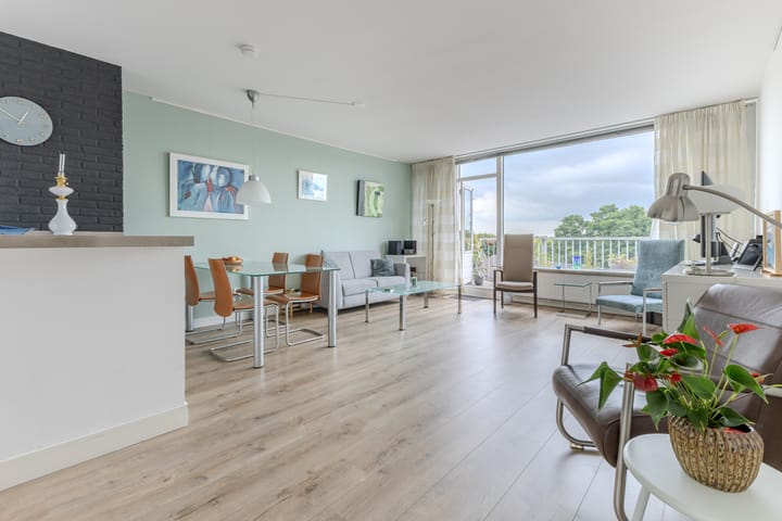 Foto 2 van Hollandsch Diep 217