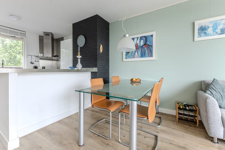 Foto 6 van Hollandsch Diep 217