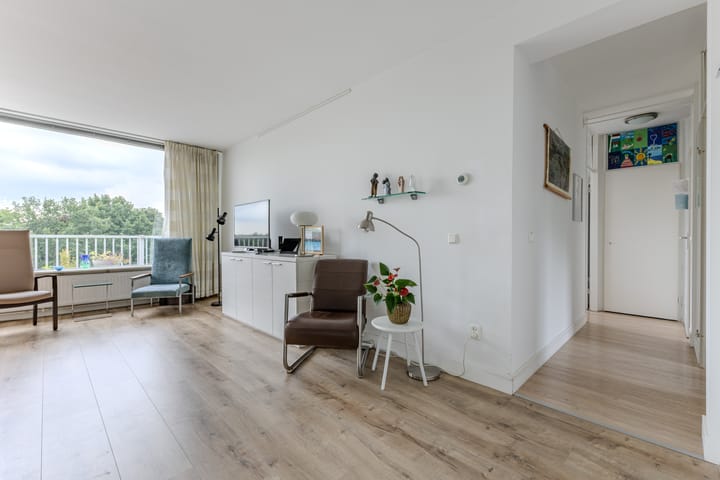 Foto 7 van Hollandsch Diep 217