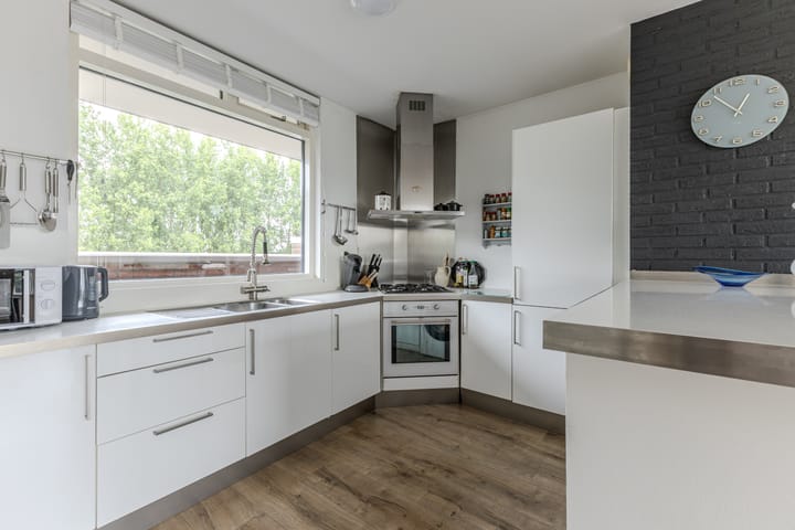 Foto 8 van Hollandsch Diep 217