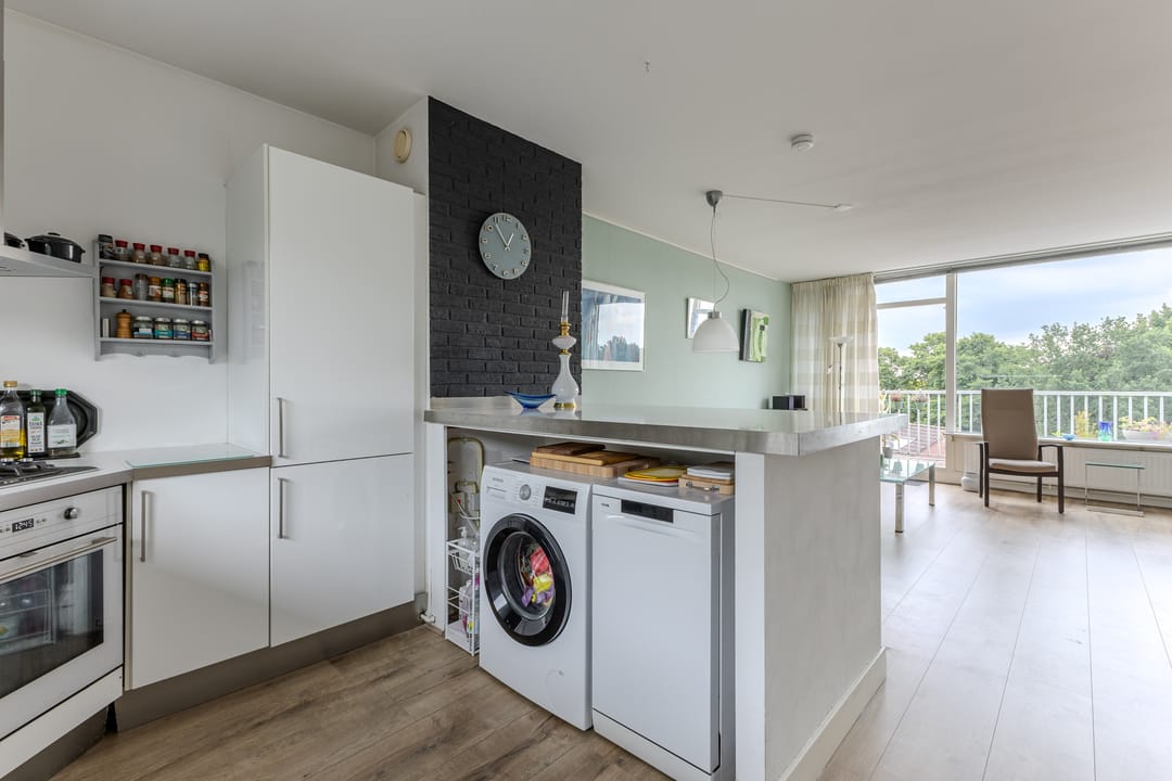 Foto 11 van Hollandsch Diep 217