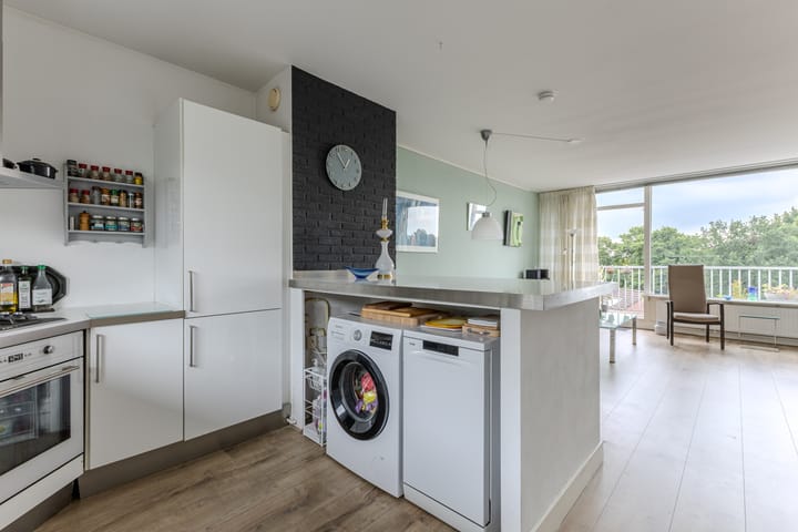 Foto 11 van Hollandsch Diep 217