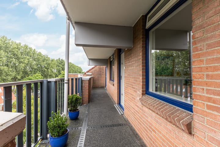 Foto 26 van Hollandsch Diep 217