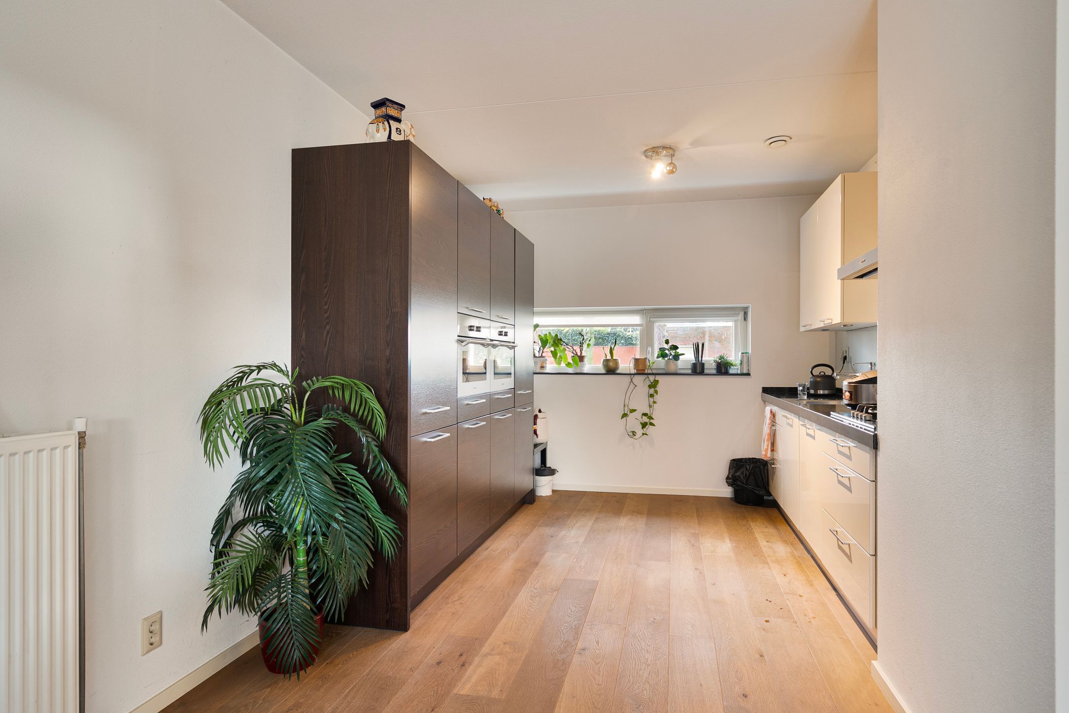 Photo 3 of Mortel 63