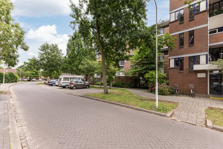 Foto 30 van Hollandsch Diep 217