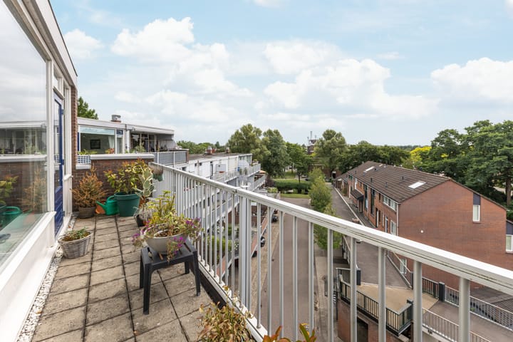 Foto 23 van Hollandsch Diep 217