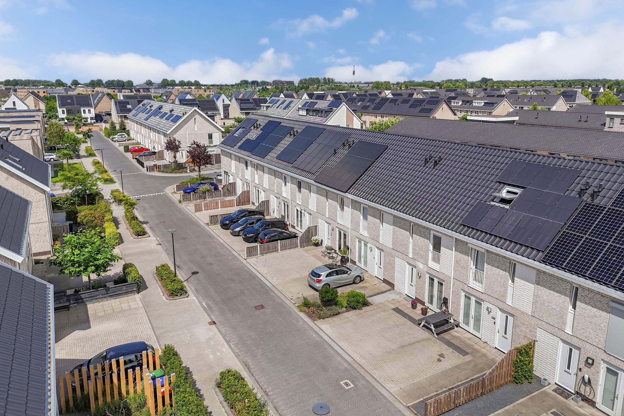 Foto 6 van Penningkruidstraat 29