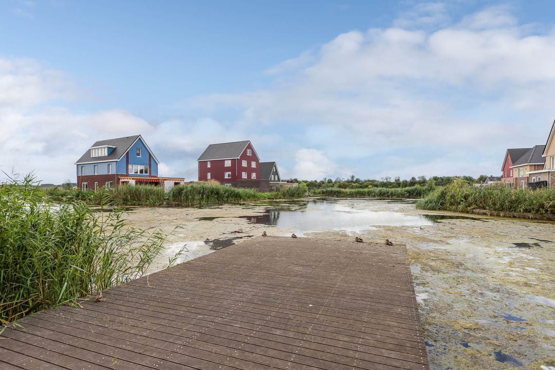 Foto 43 van Penningkruidstraat 29