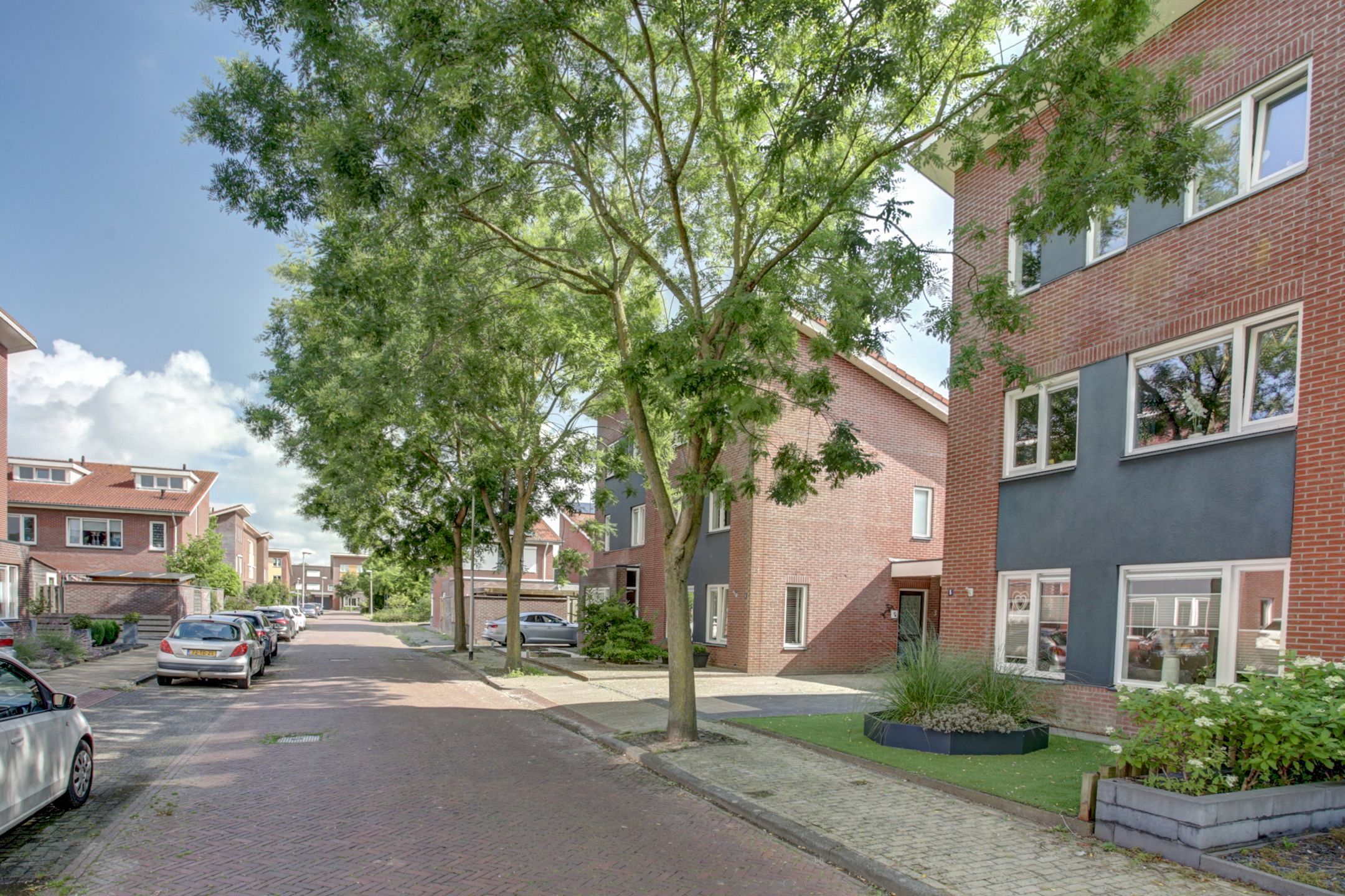 Foto 45 van Aardbeivlinder 5