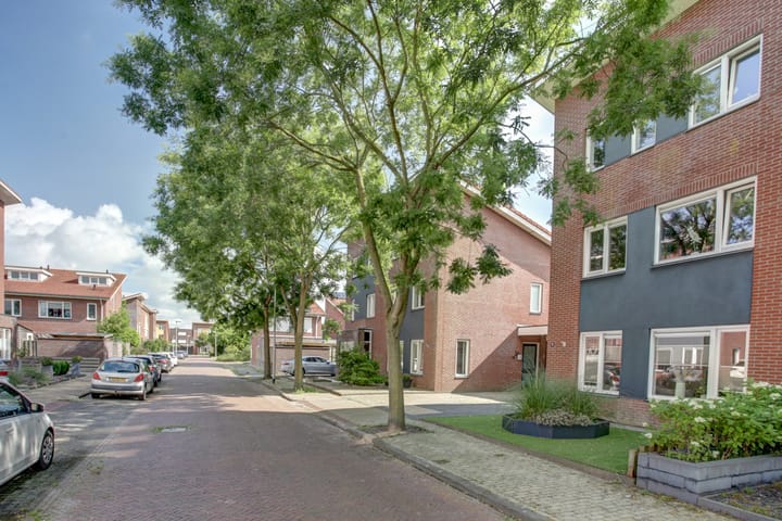 Foto 45 van Aardbeivlinder 5