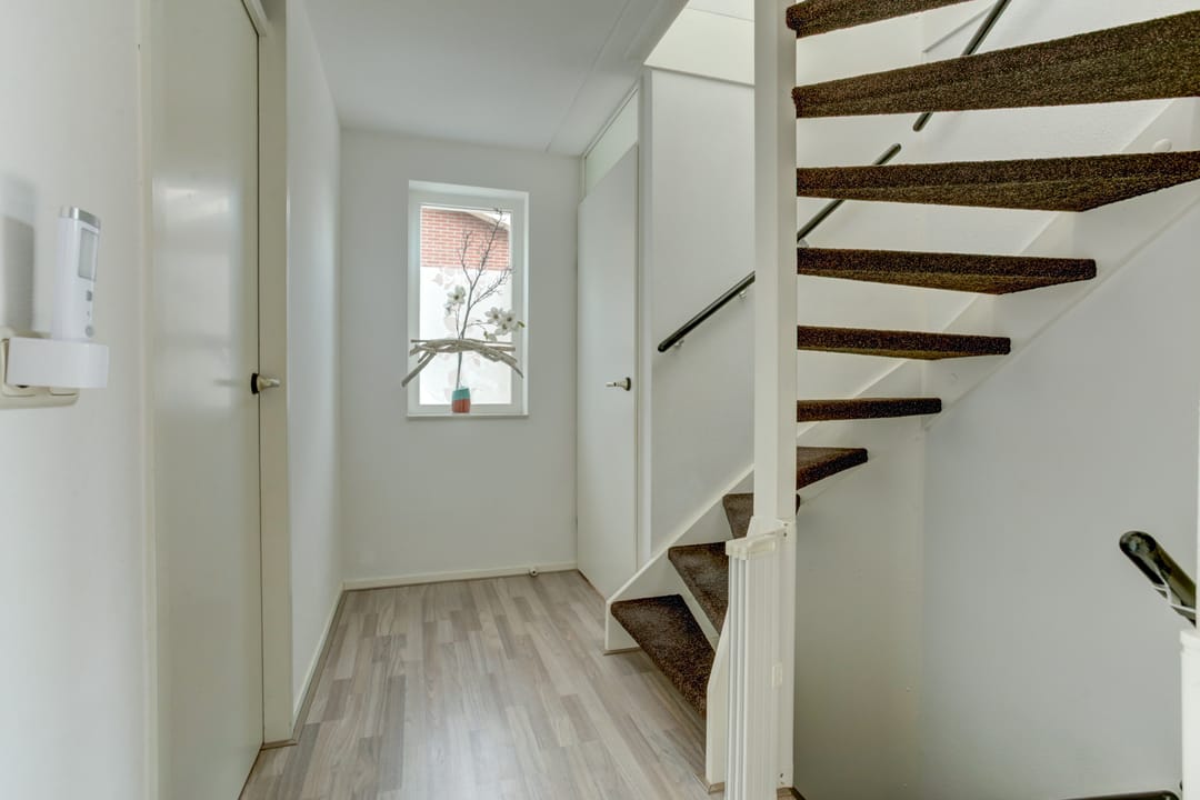 Foto 22 van Aardbeivlinder 5