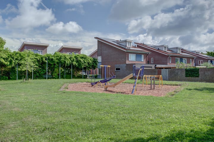 Foto 46 van Aardbeivlinder 5