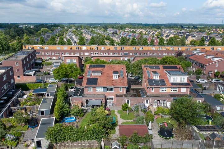 Foto 47 van Aardbeivlinder 5