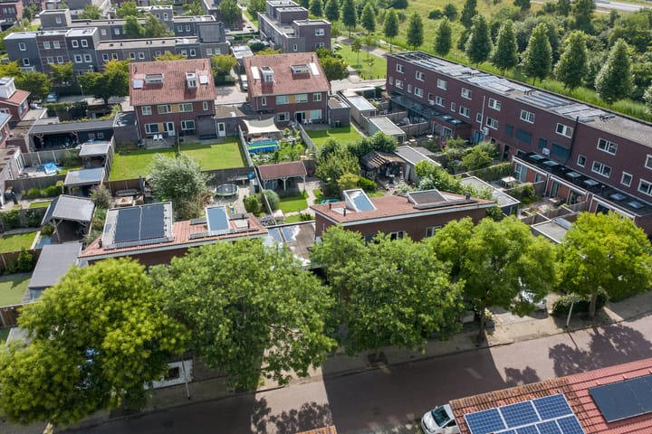 Foto 48 van Aardbeivlinder 5