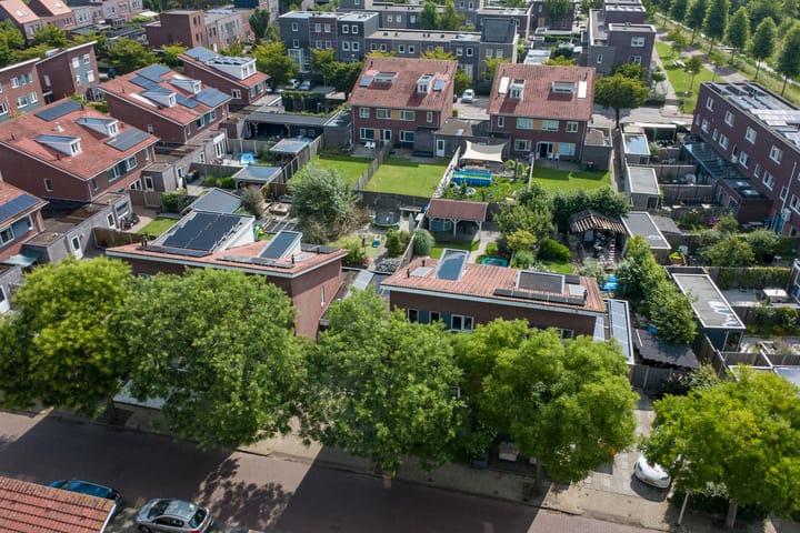 Foto 49 van Aardbeivlinder 5